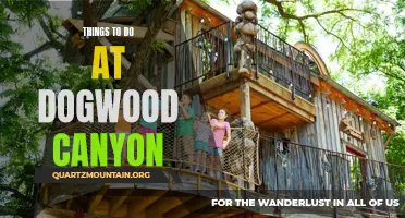 10 Awesome Activities to Enjoy at Dogwood Canyon.