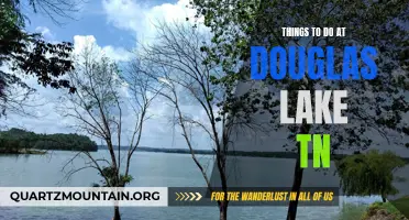 Exploring the Best Activities at Douglas Lake, TN