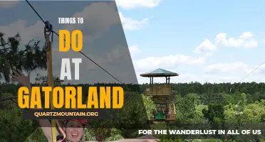 12 Exciting Activities to Experience at Gatorland
