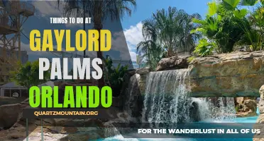 14 Fun Activities to Experience at Gaylord Palms Orlando