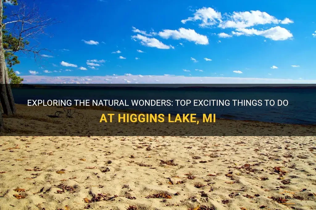 things to do at higgins lake mi