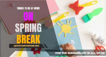 10 Fun and Creative Activities to Enjoy at Home During Spring Break