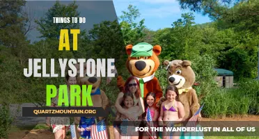12 Fun Activities to Enjoy at Jellystone Park