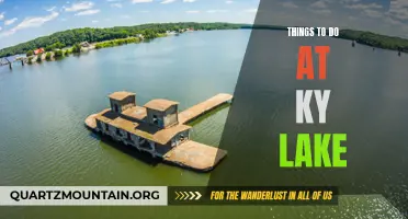 12 Must-Do Activities at Kentucky Lake