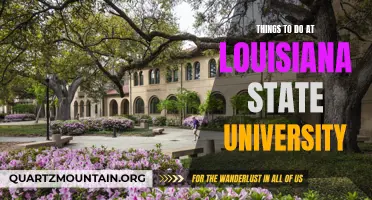Exploring the Rich Culture and Exciting Activities at Louisiana State University