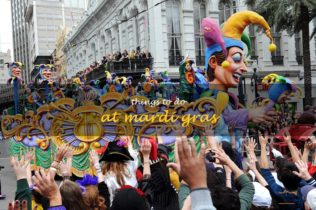 things to do at mardi gras