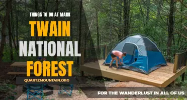 Exploring the Outdoors: 7 Exciting Activities to Do at Mark Twain National Forest