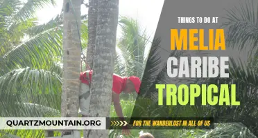 Top 10 Activities to Enjoy at Melia Caribe Tropical