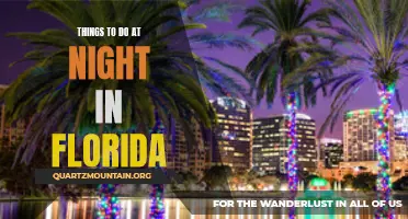 Nighttime Adventures in Florida: Endless Activities to Explore