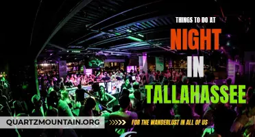 The Ultimate Guide to Nights Out in Tallahassee: Top Activities and Hotspots to Explore After Dark