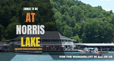 13 Fun Activities to Experience at Norris Lake