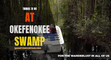 13 Exciting Things to Do at Okefenokee Swamp