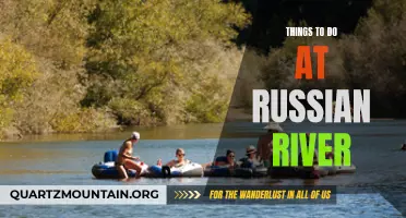 Exploring the Charm of Russian River: Top Activities and Attractions
