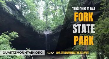 13 Amazing Things to Do at Salt Fork State Park
