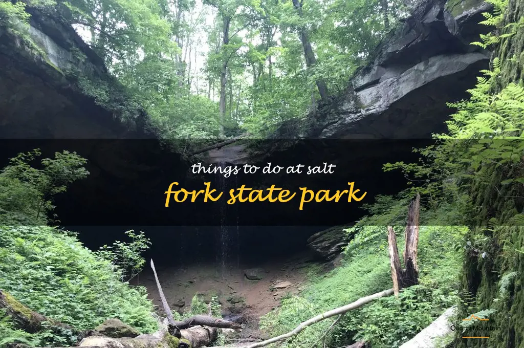 things to do at salt fork state park