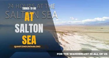 12 Fun Things to Do at Salton Sea
