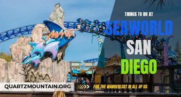 12 Amazing Things to Do at SeaWorld San Diego