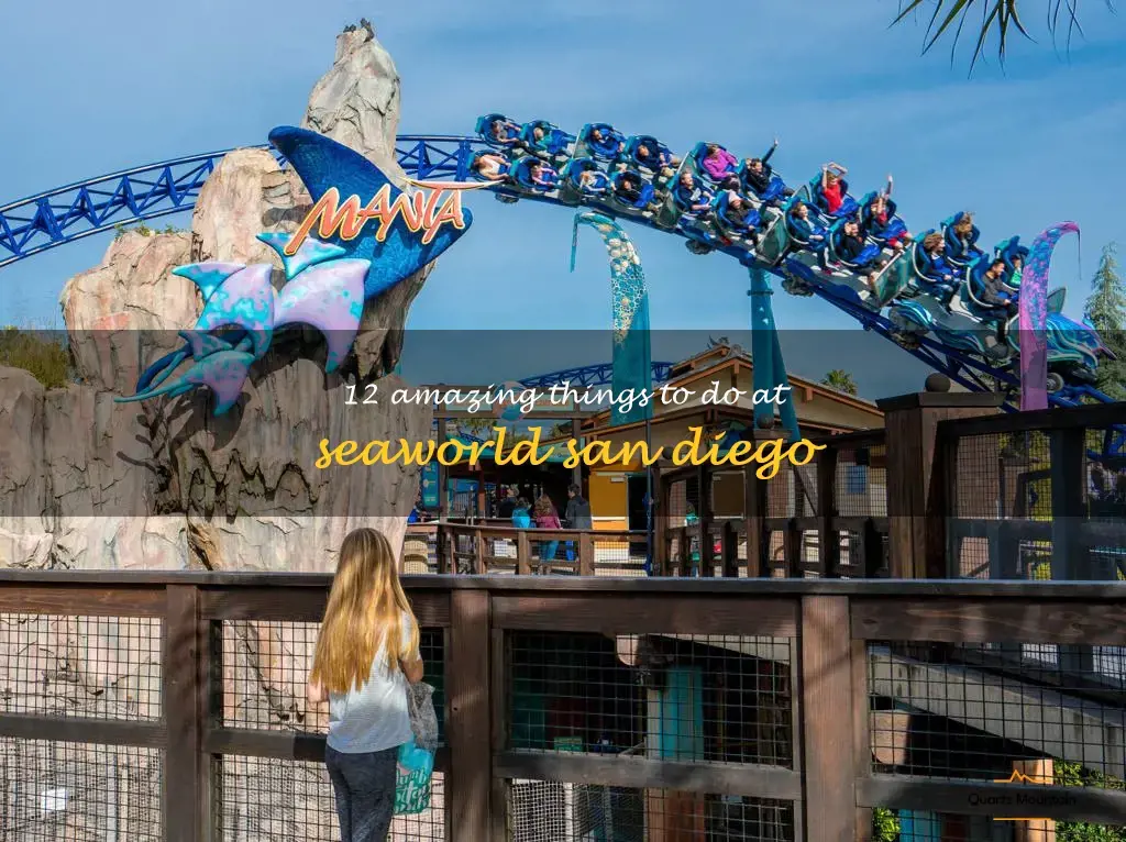 things to do at seaworld san diego