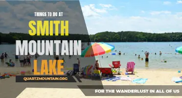 14 Fun Things to Do at Smith Mountain Lake