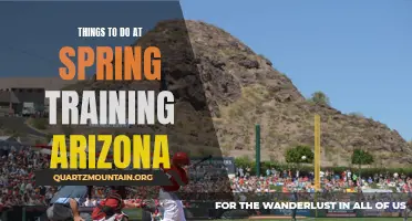 10 Fun Activities to Experience at Spring Training in Arizona
