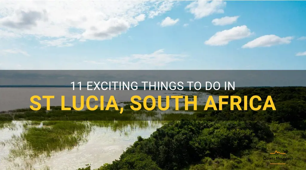 things to do at st lucia south africa