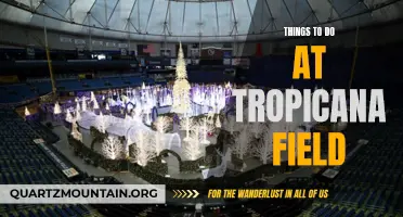 Exploring the Excitement: Top Activities and Attractions to Experience at Tropicana Field