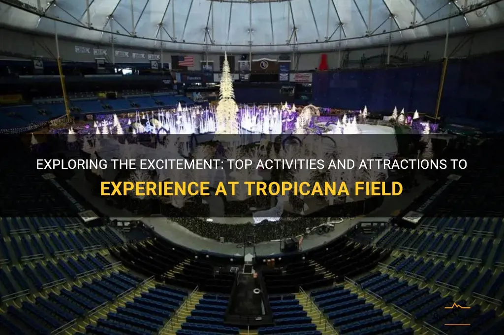 things to do at tropicana field
