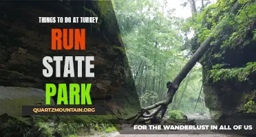 10 Fun Activities to Try at Turkey Run State Park