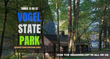 Discover the Best Activities and Adventures at Vogel State Park: A Guide to Outdoor Fun