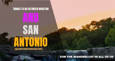 13 Exciting Things to Do Between Houston and San Antonio