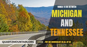 11 Fun Activities to Experience between Michigan and Tennessee