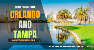 12 Exciting Things to Do Between Orlando and Tampa