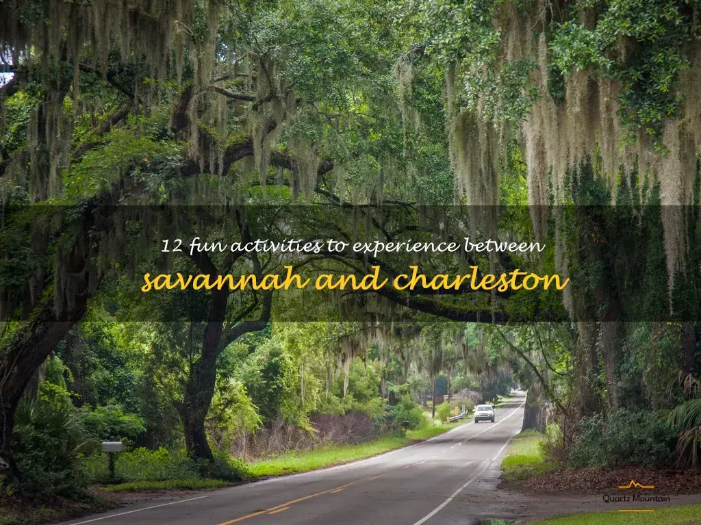things to do between savannah and charleston