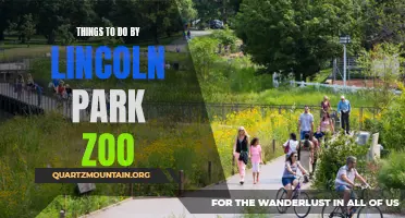 10 Fun Activities to Do by Lincoln Park Zoo
