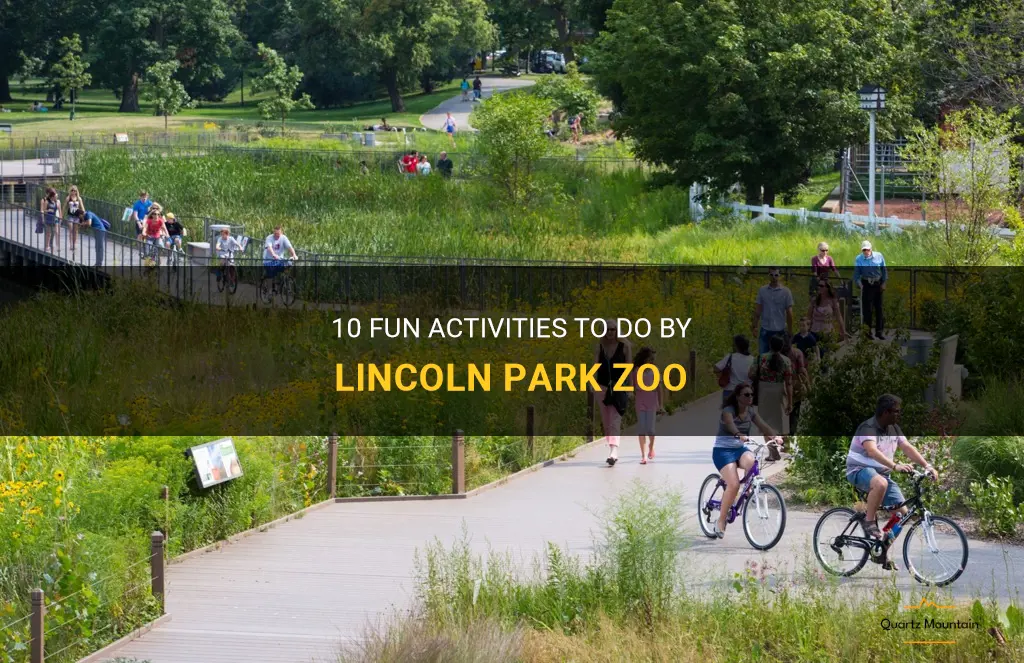 things to do by lincoln park zoo