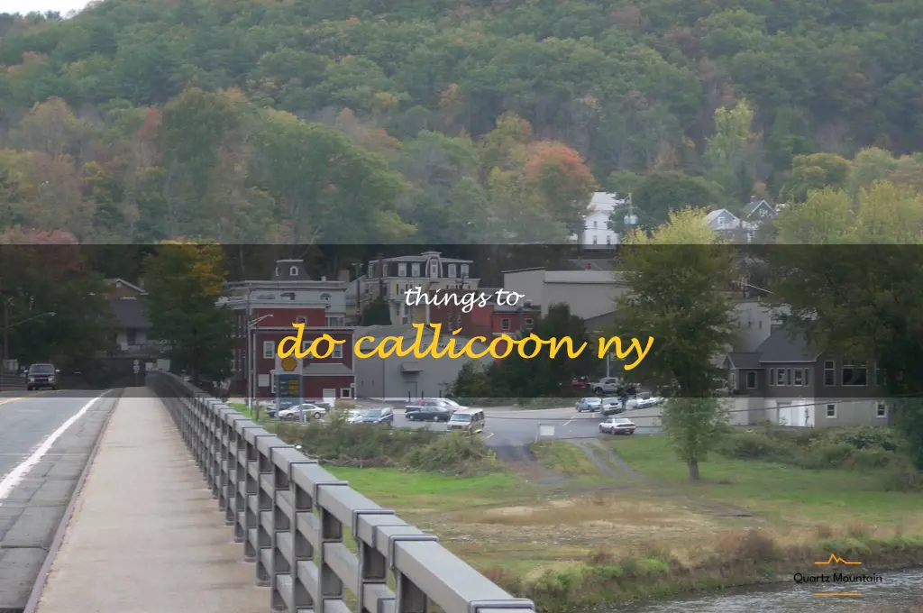things to do callicoon ny