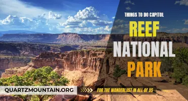 14 Fun Things to Do in Capitol Reef National Park