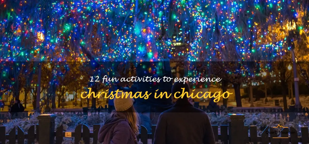 things to do christmas chicago