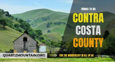 10 Fun Activities to Explore in Contra Costa County