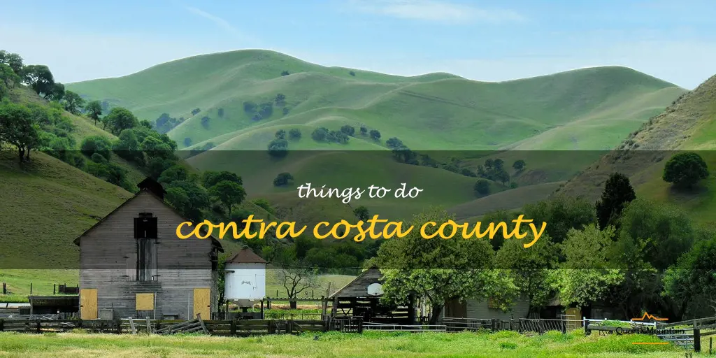 things to do contra costa county