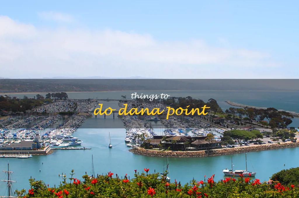 things to do dana point