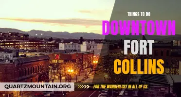 10 Fun Activities to Explore in Downtown Fort Collins