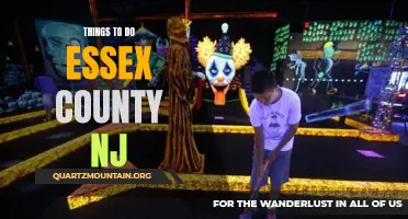 12 Fun Activities in Essex County NJ