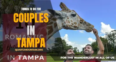 12 Fun Things to Do for Couples in Tampa
