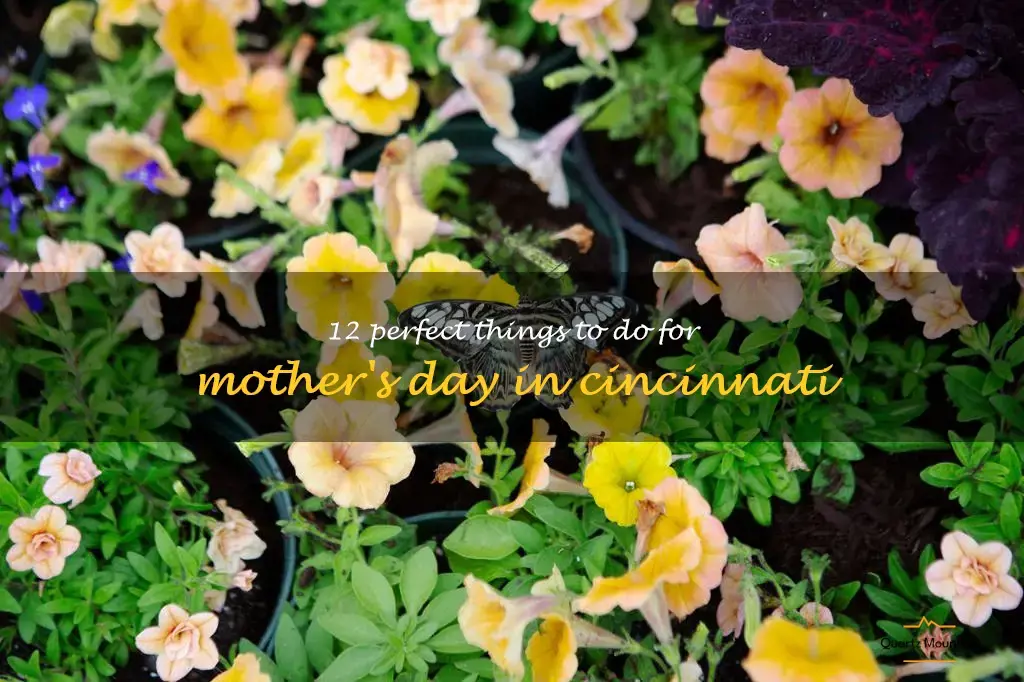 things to do for mother