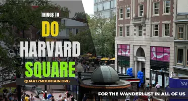 13 Fun Things to Do in Harvard Square