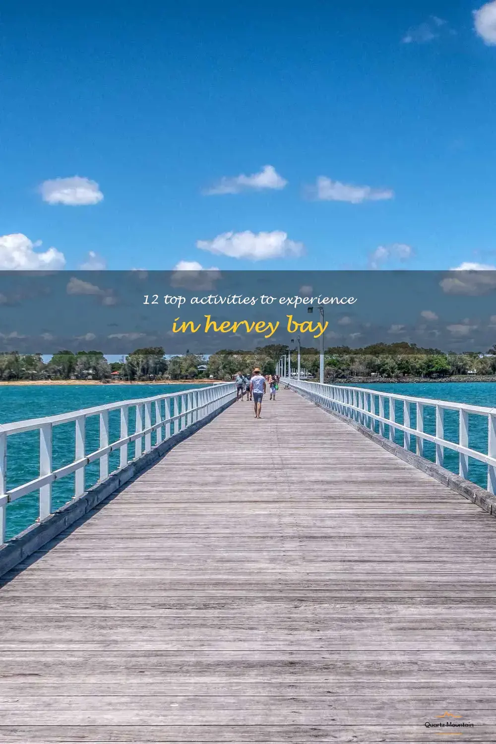 things to do hervey bay