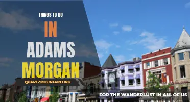 12 Best Attractions and Activities in Adams Morgan