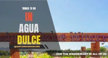 An Adventurer's Guide: 10 Exciting Things to Do in Agua Dulce