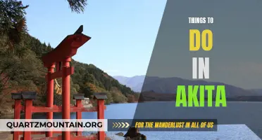 12 Fun Activities to do in Akita